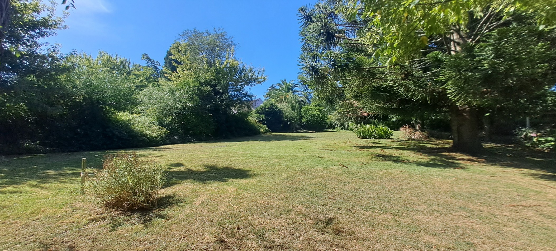 VENTA LOTE SIERRA DE LOS PADRES