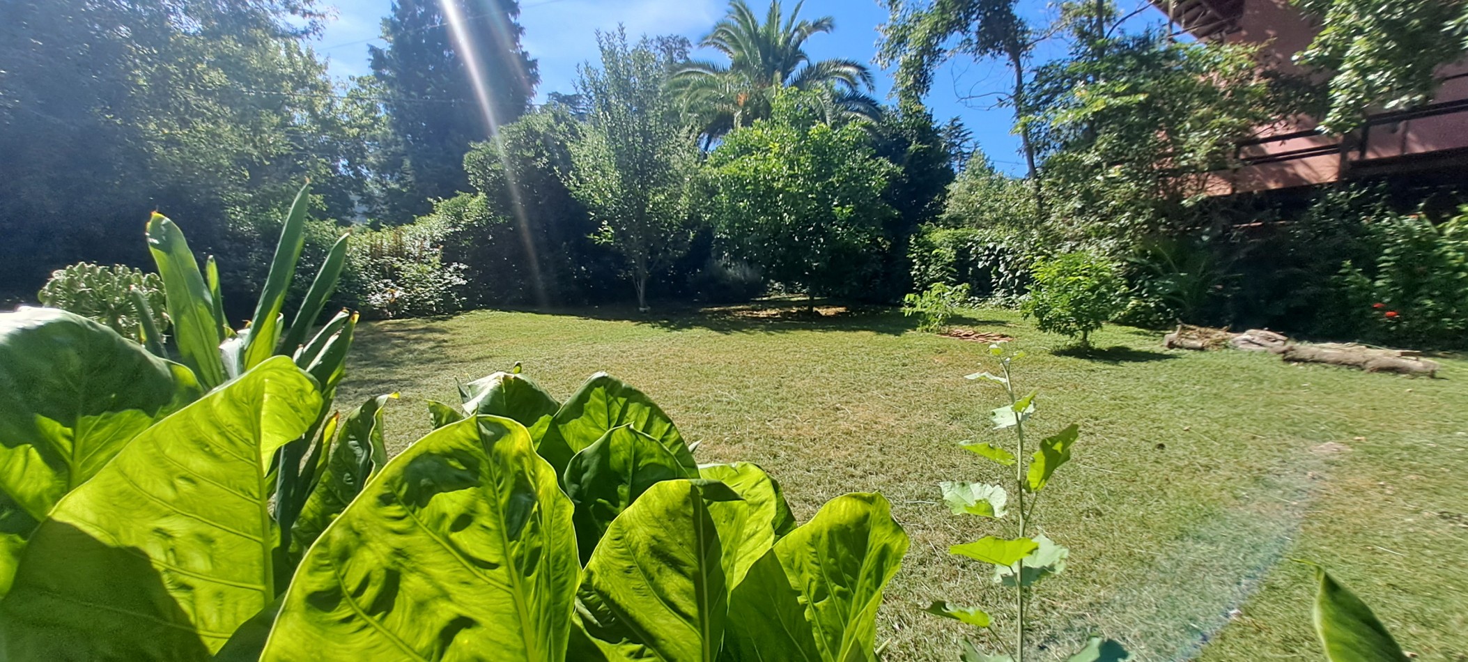 VENTA LOTE SIERRA DE LOS PADRES