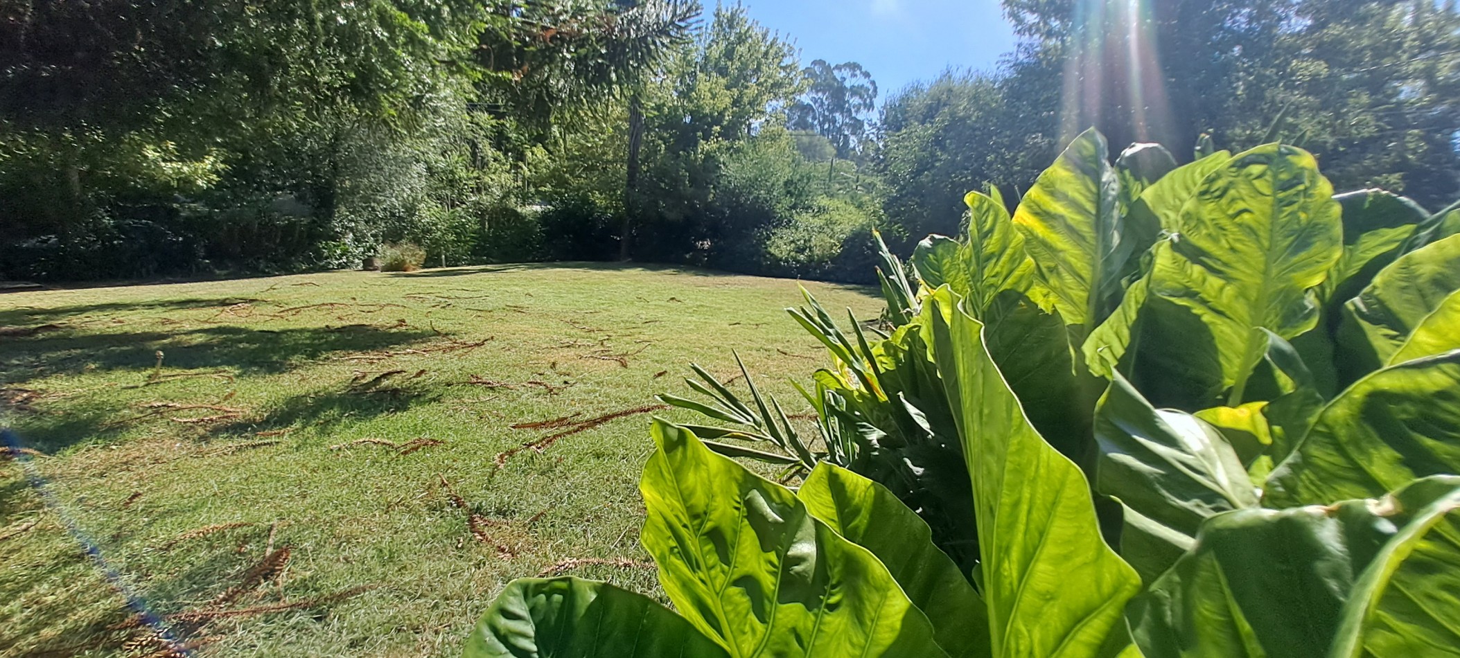 VENTA LOTE SIERRA DE LOS PADRES