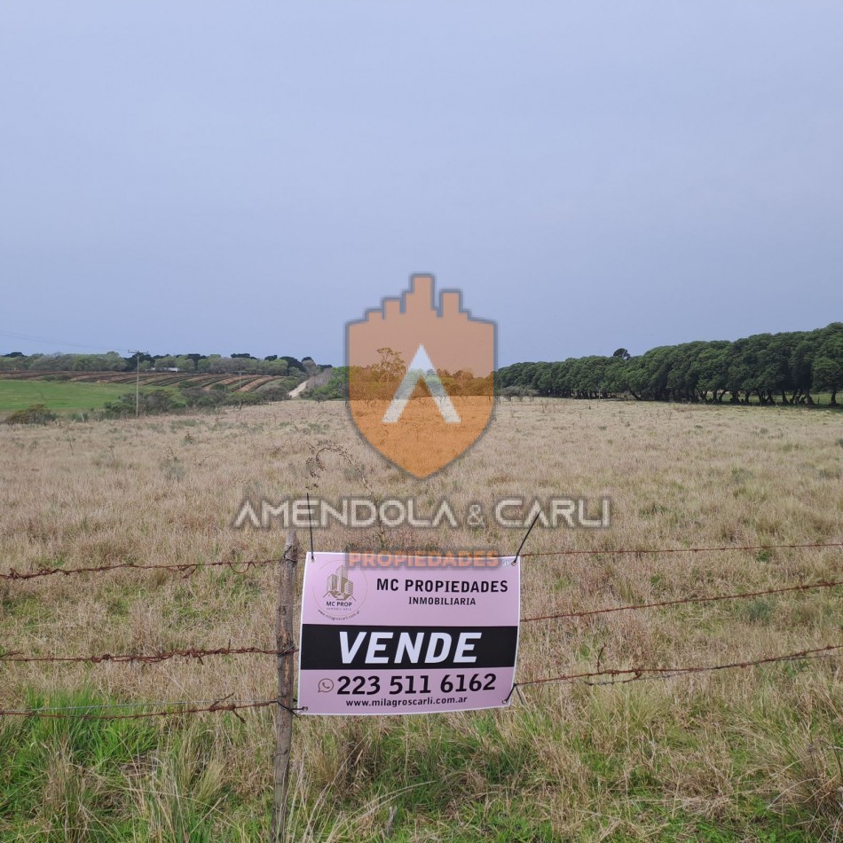 HECTAREAS SIERRA DE LOS PADRES