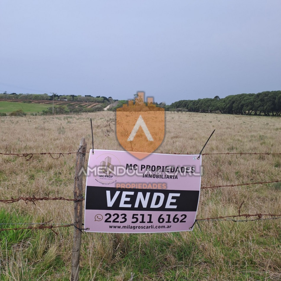 HECTAREAS SIERRA DE LOS PADRES